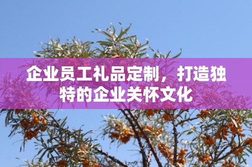 企业员工礼品定制，打造独特的企业关怀文化