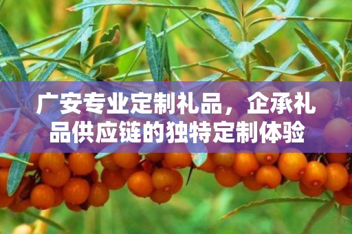 广安专业定制礼品，企承礼品供应链的独特定制体验